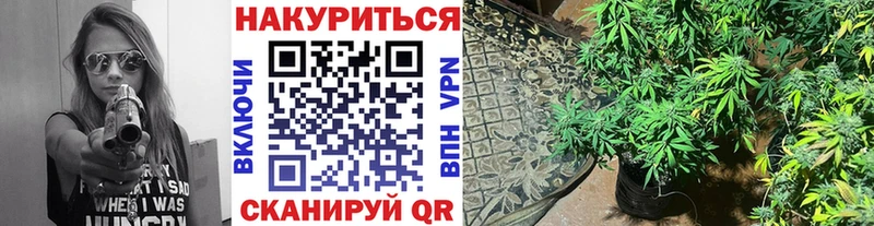 закладки  Галич  Шишки марихуана гибрид 